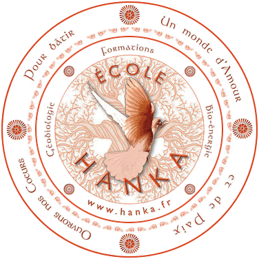 &Eacute;cole Hanka, formations